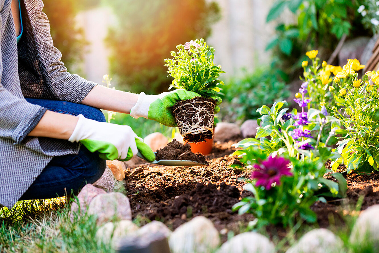 Садовые работы: календарь садовых работ на весну и круглый год